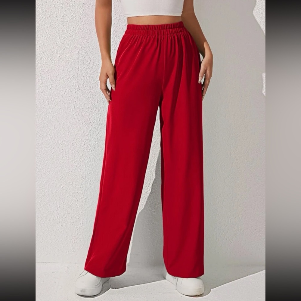 Palazoo pant